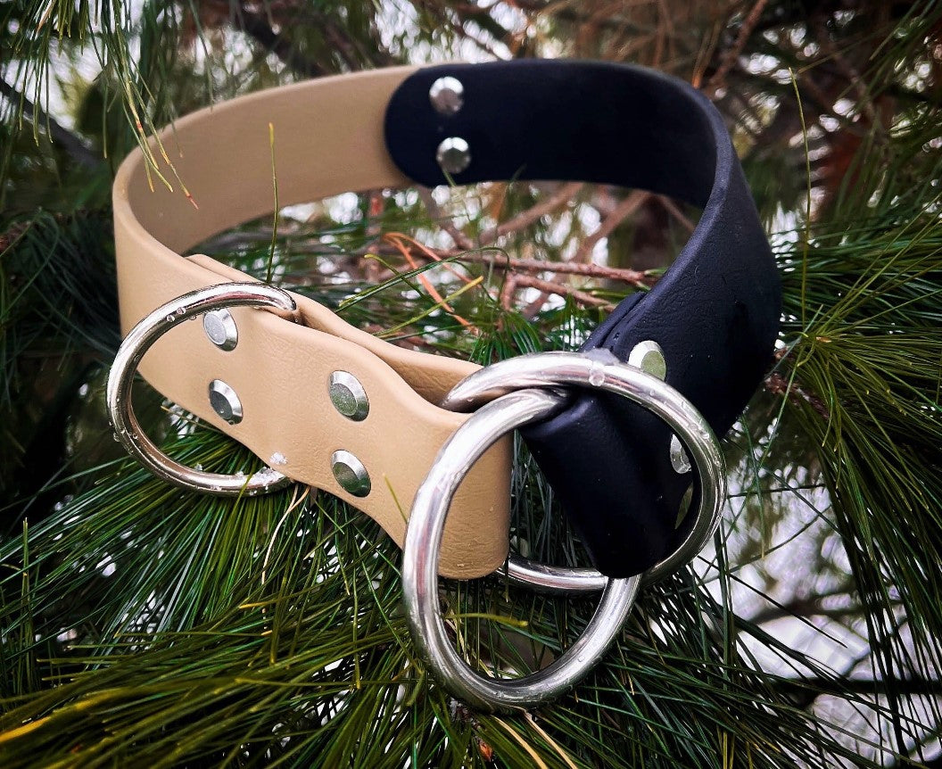 a-guide-to-different-types-of-dog-collars-finding-the-best-fit-for-yo