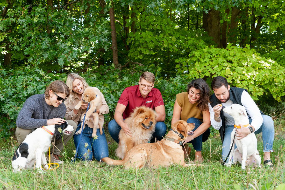 FAQ's - Contigo Dogs