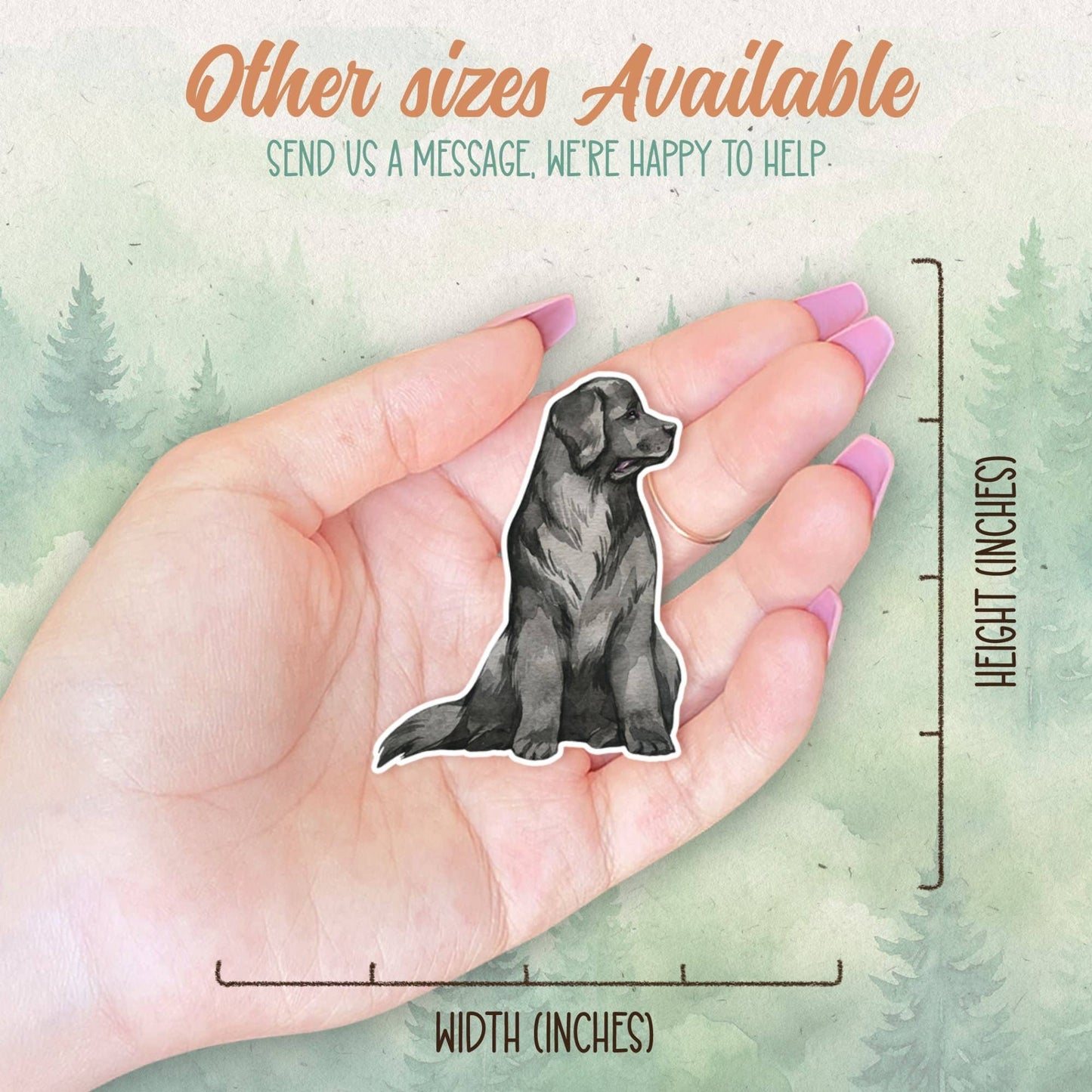 Newfoundland Sticker