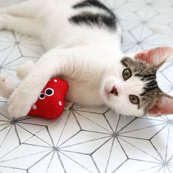 Mad Cat Magic Meowshroom