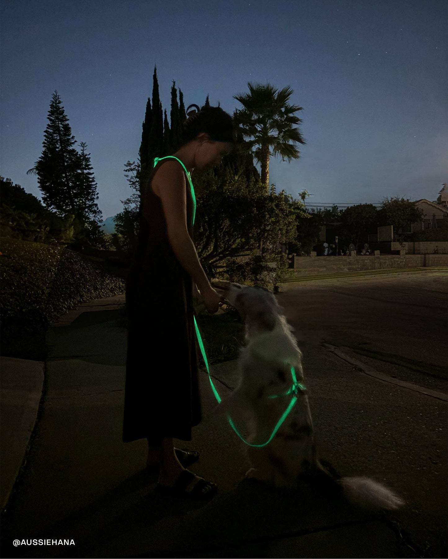 Lunar Glow Wide 4-in-1 Convertible Hands Free Cloud Dog Leash