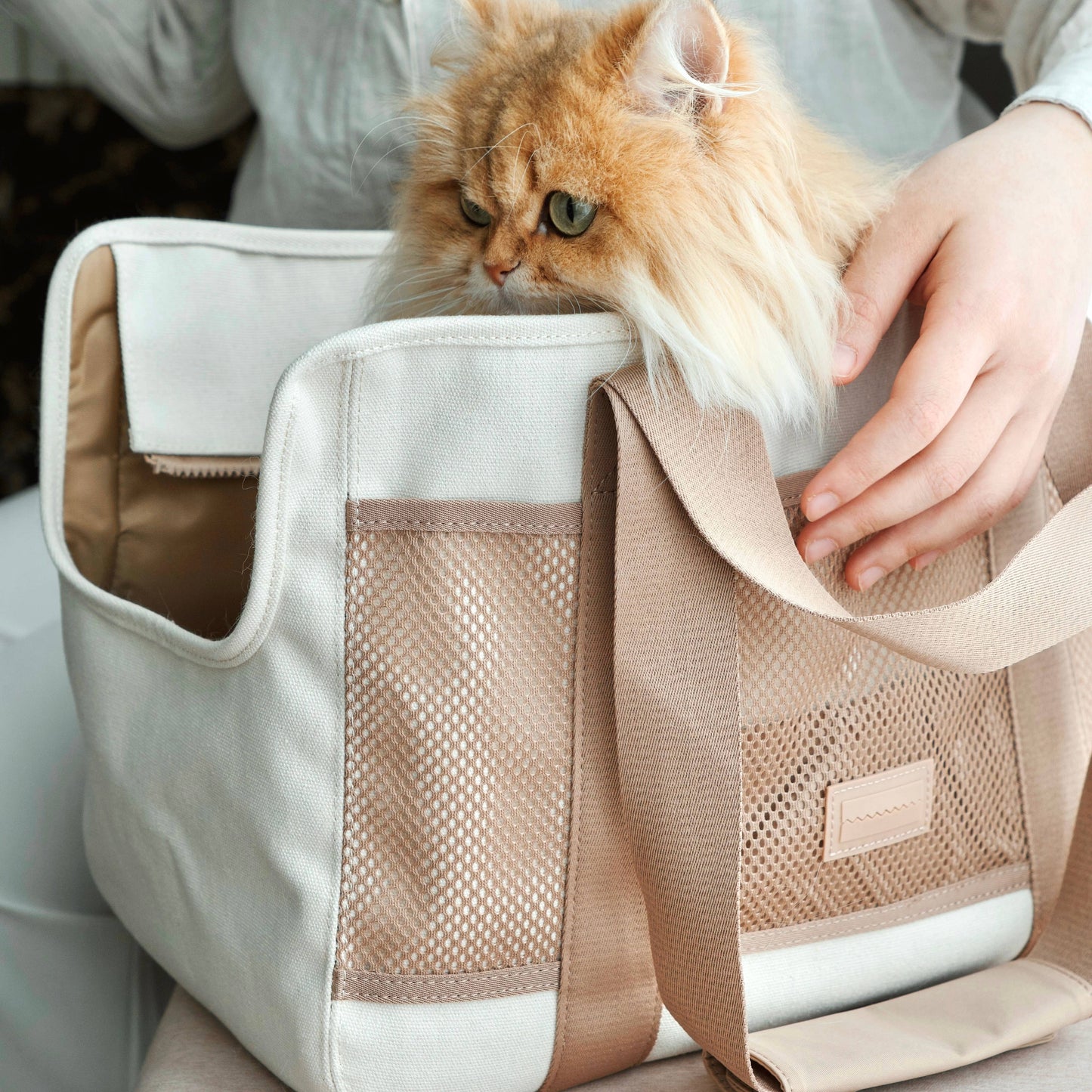 SUBWAY//PET CARRIER