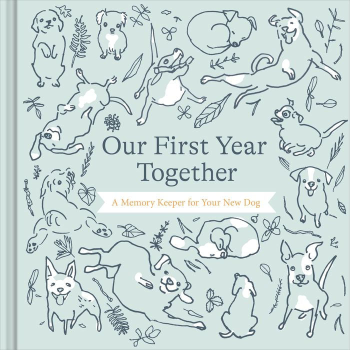 Our First Year Together