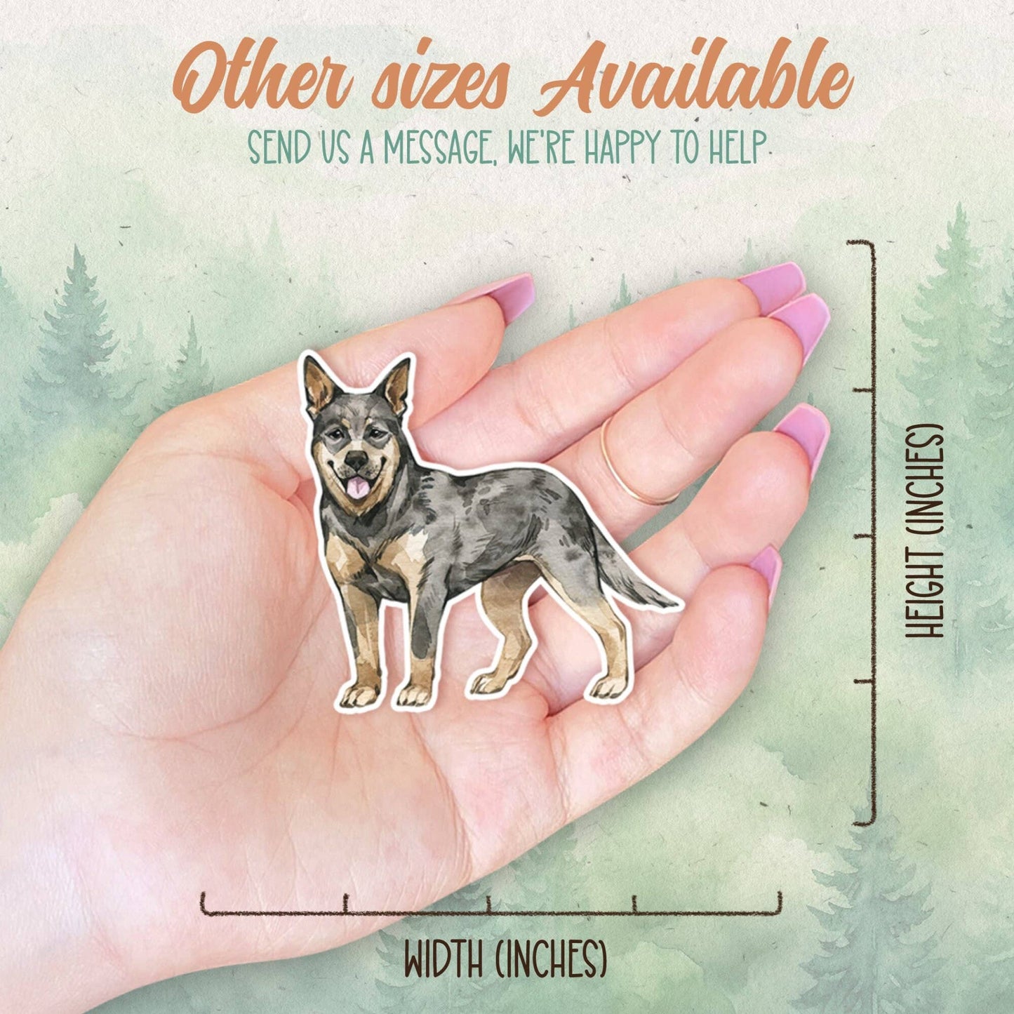 Aussie Cattle Dog Sticker