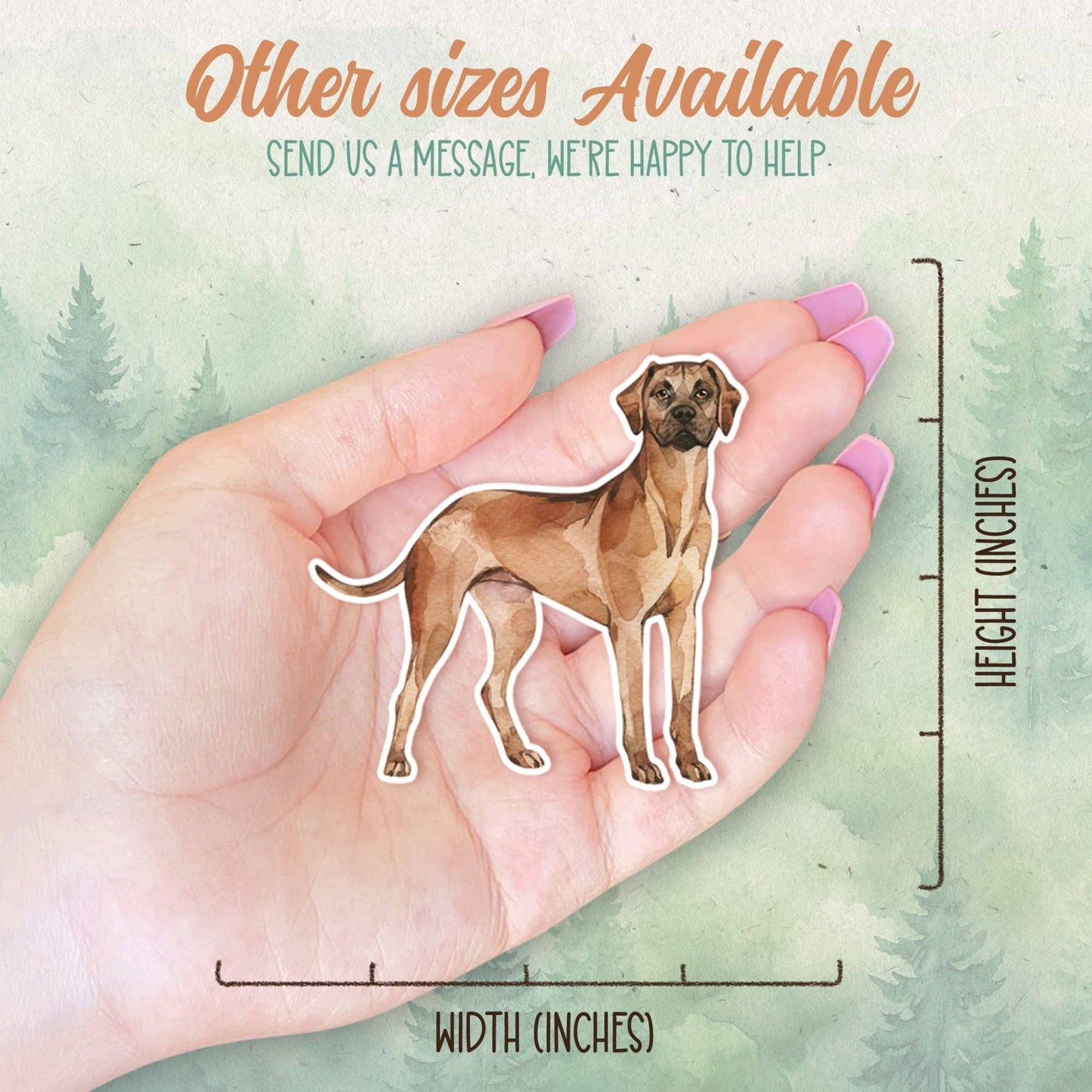 Rhodesian Ridgeback dog sticker