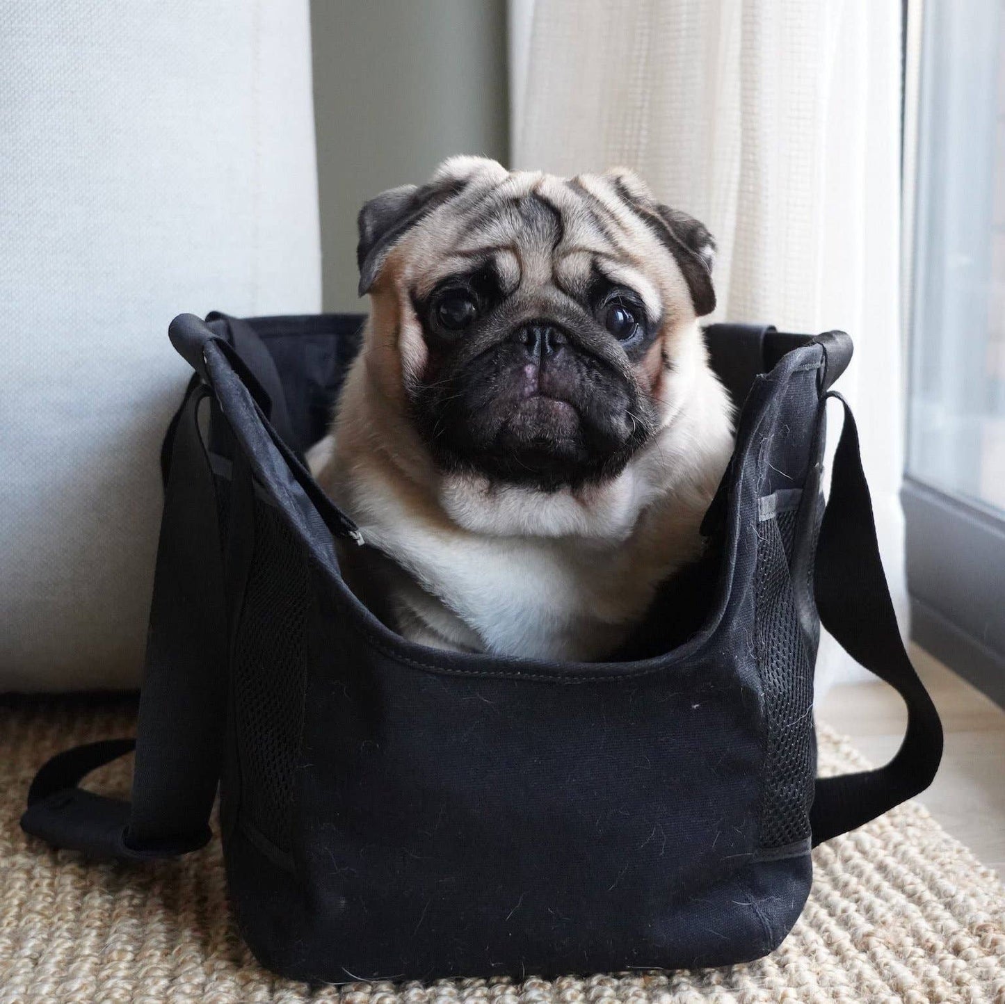 SUBWAY//PET CARRIER