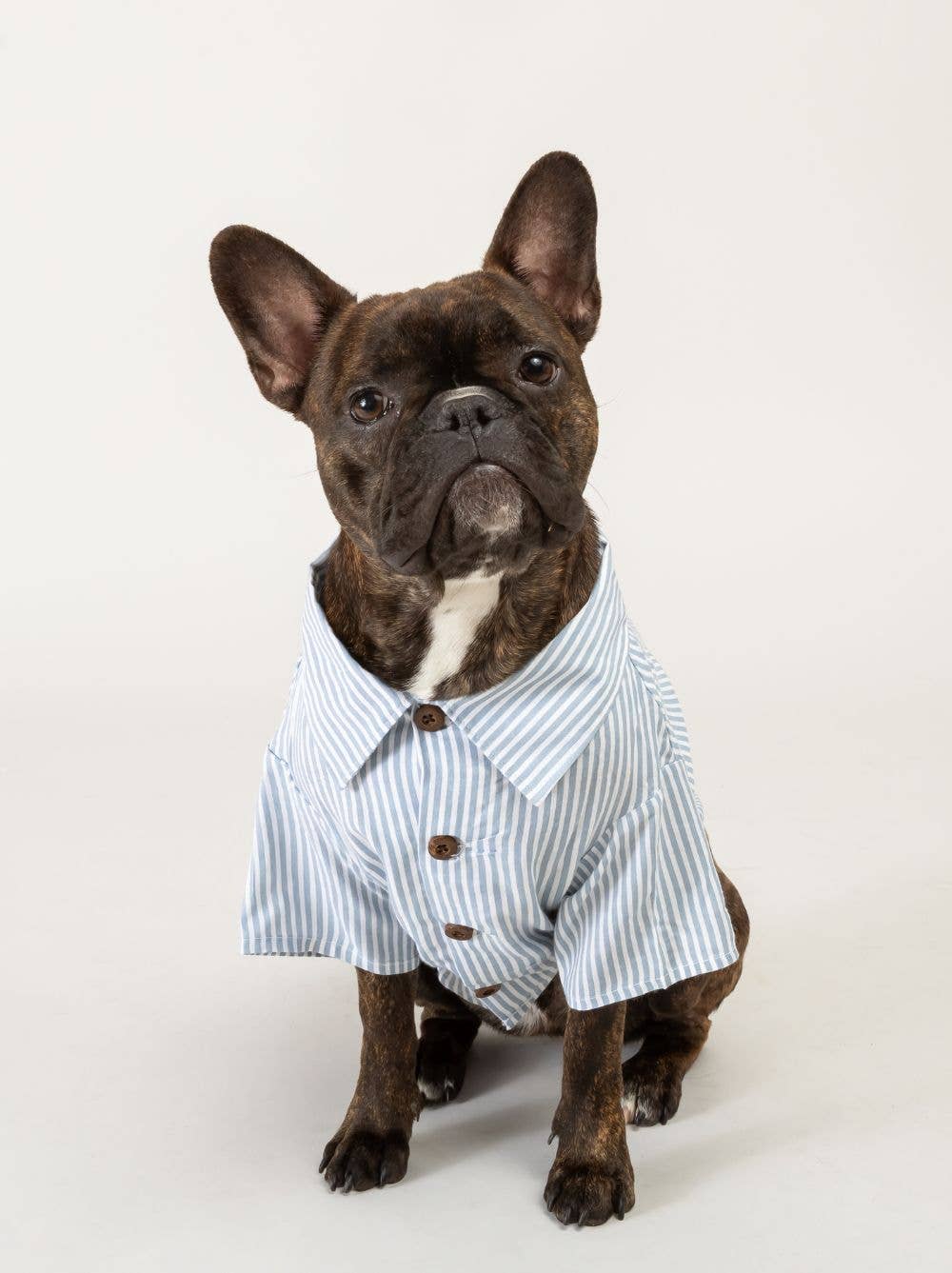 Hamptons Shirt