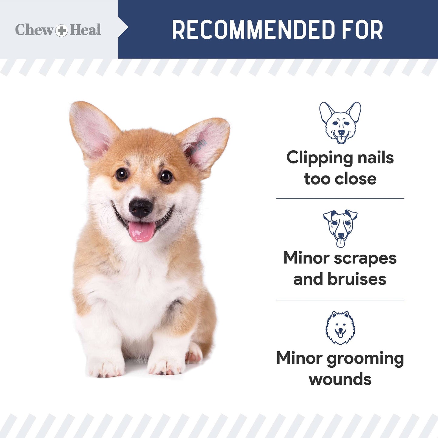 Chew + Heal Styptic Powder
