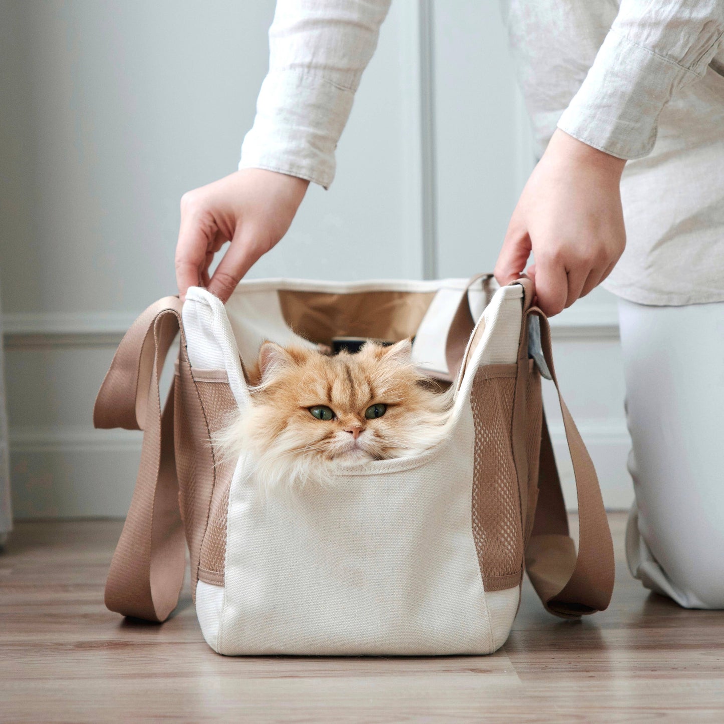 SUBWAY//PET CARRIER