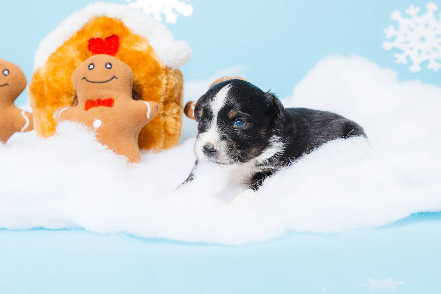 Gingerbread House Toy