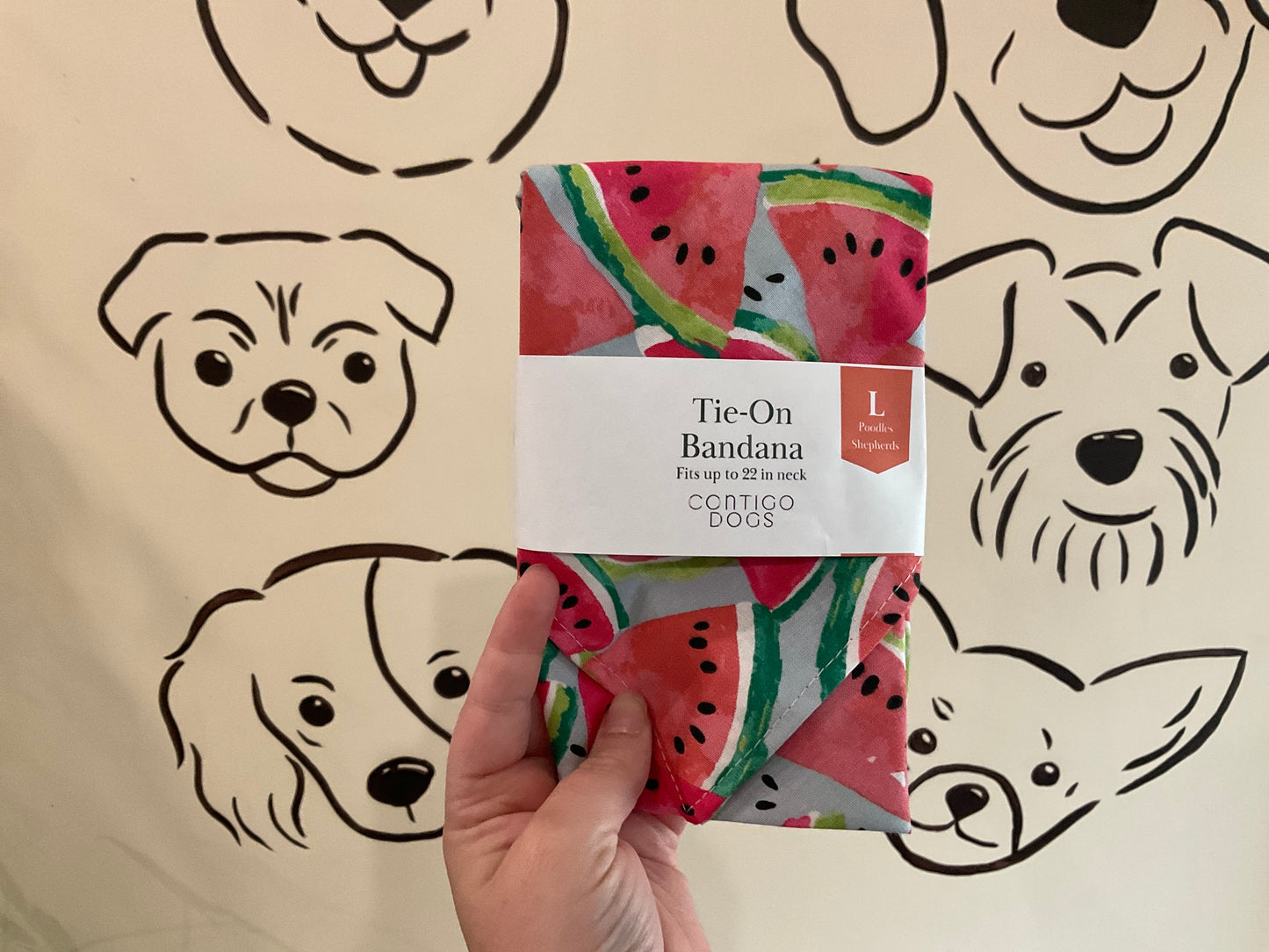 Watermelon Bandana