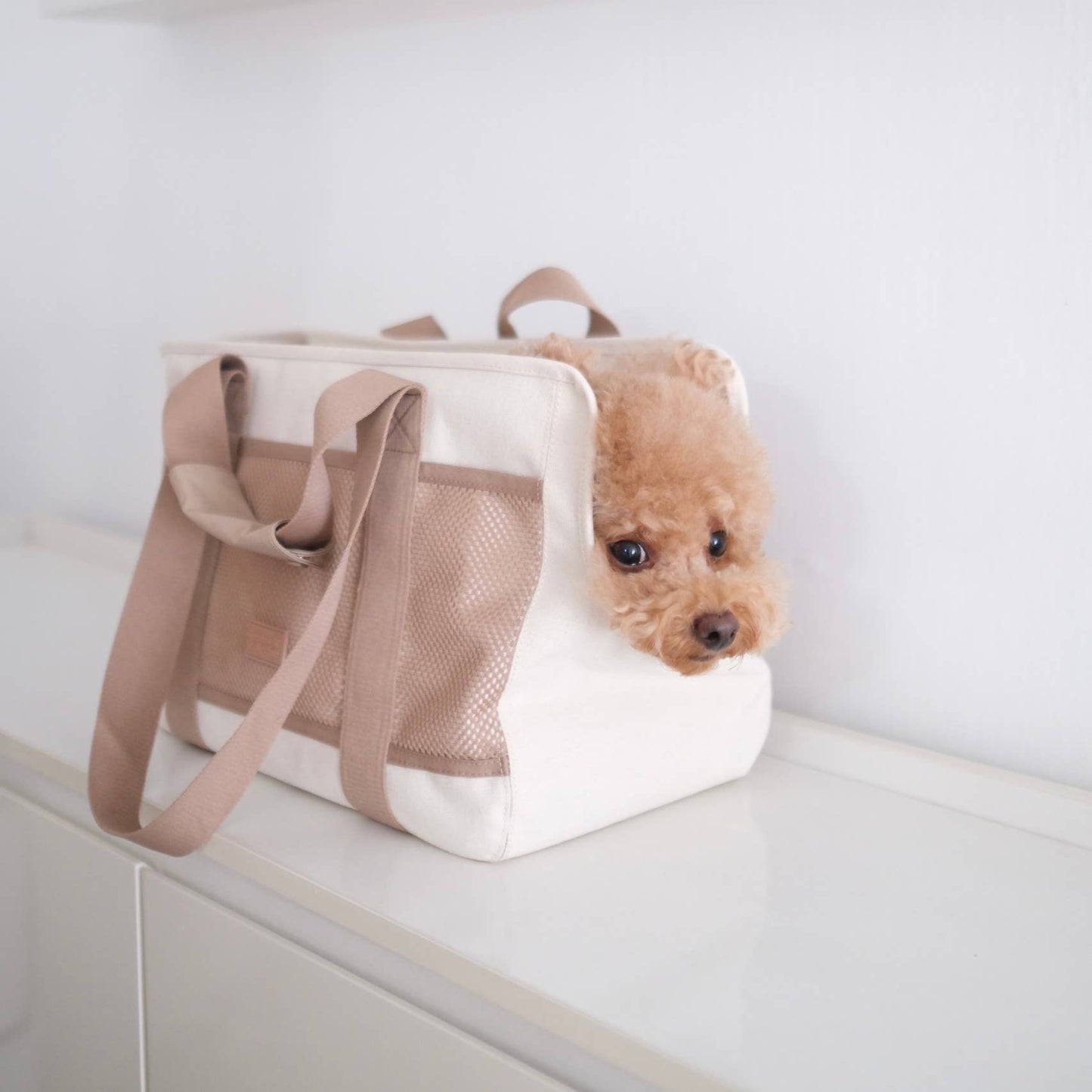 SUBWAY//PET CARRIER