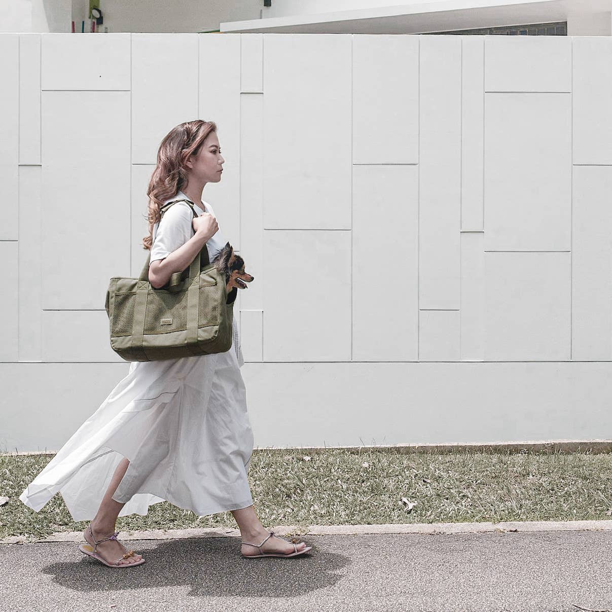 SUBWAY//PET CARRIER