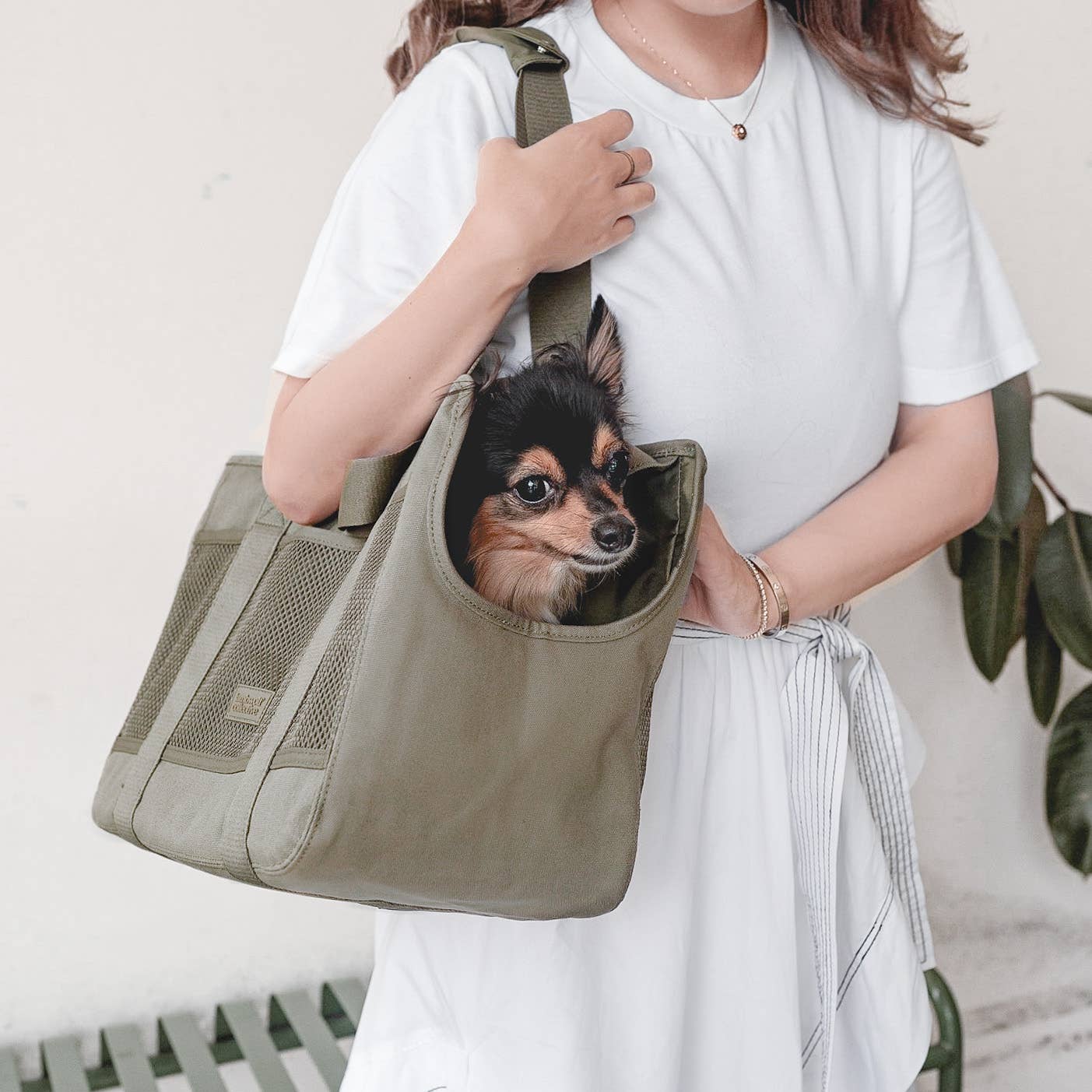 SUBWAY//PET CARRIER