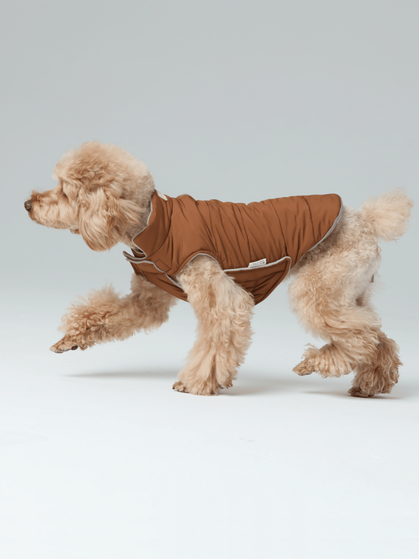 Reversible Dog Vest Orange