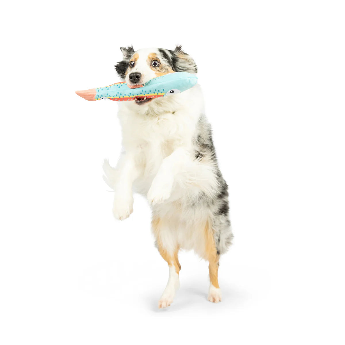 HKTrout toy