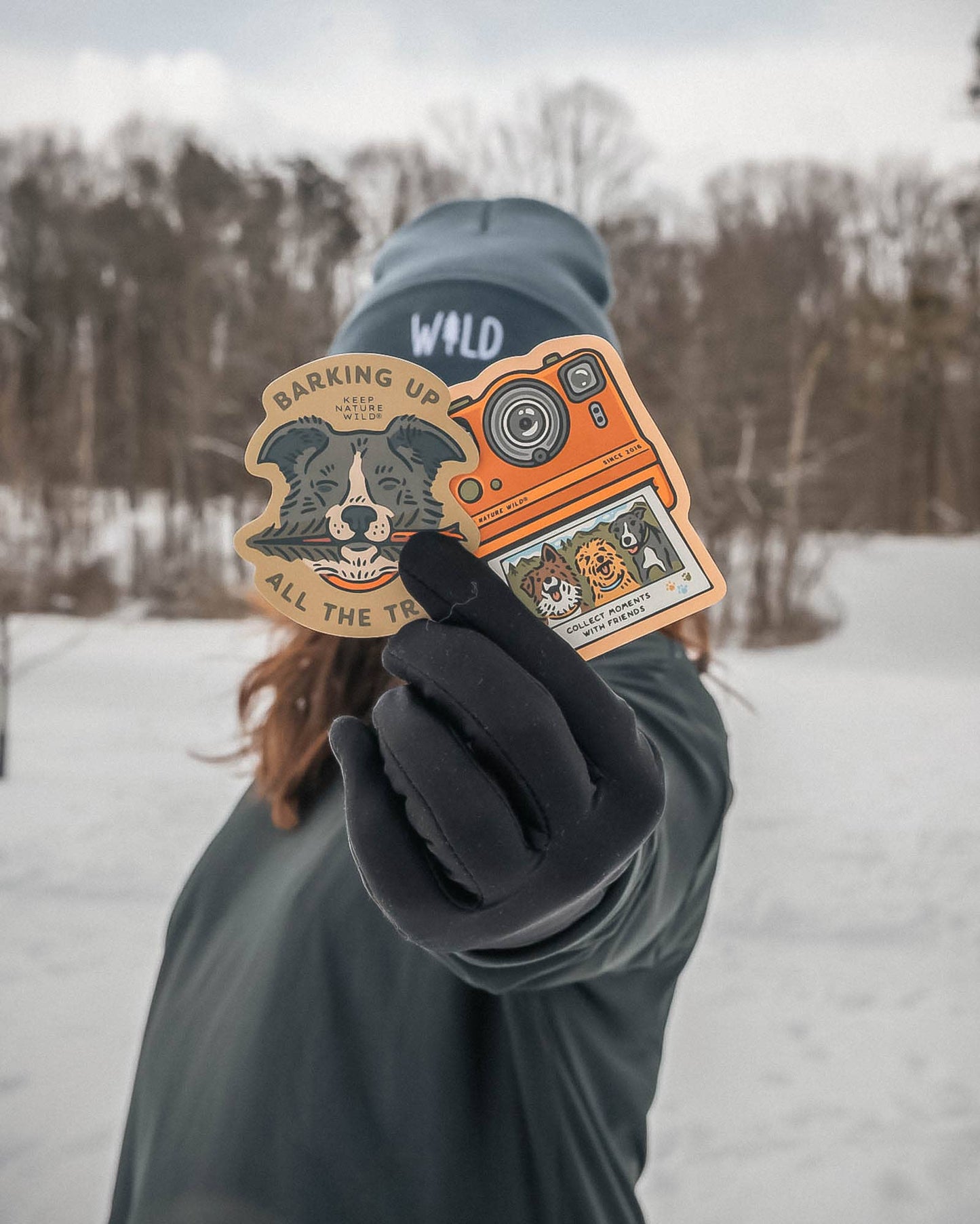 Collect Moments with Friends | Sticker