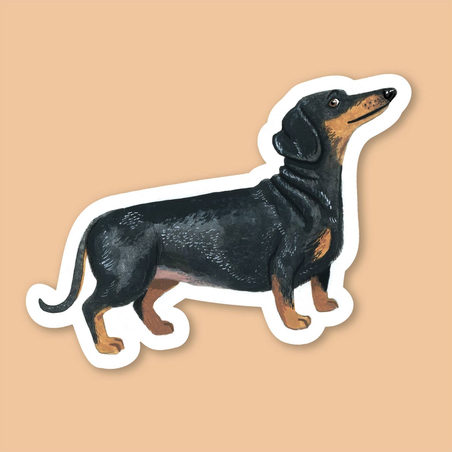 Black Dachshund Sticker