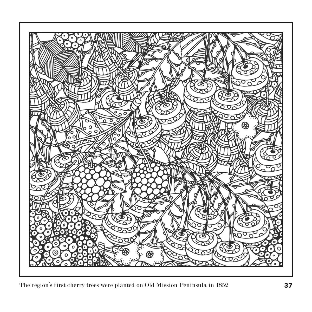 Traverse City Coloring Book