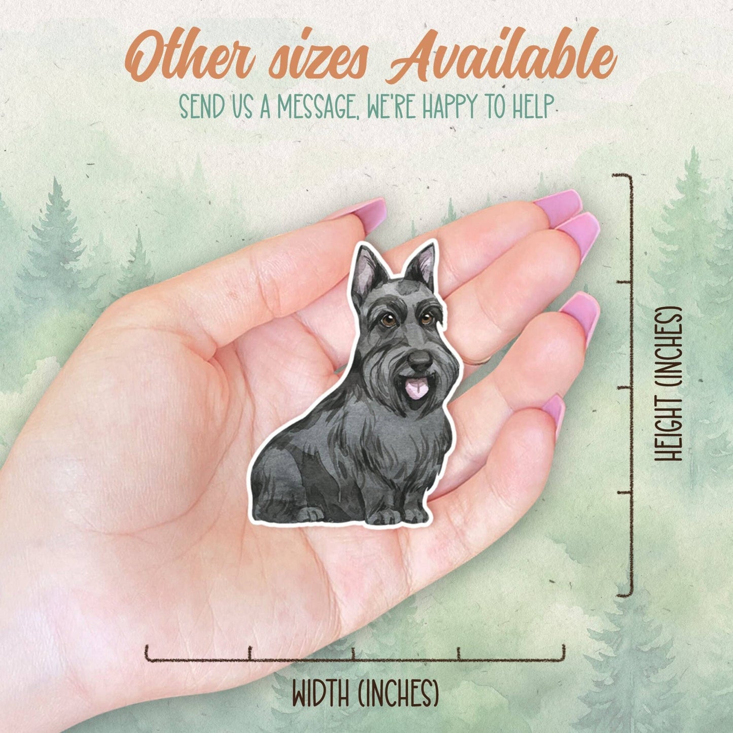 Scottish Terrier Sticker