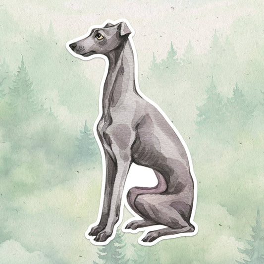 Italian Greyhound sticker