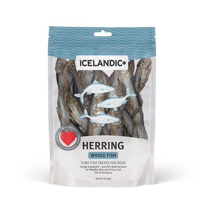 Icelandic Herring whole fish