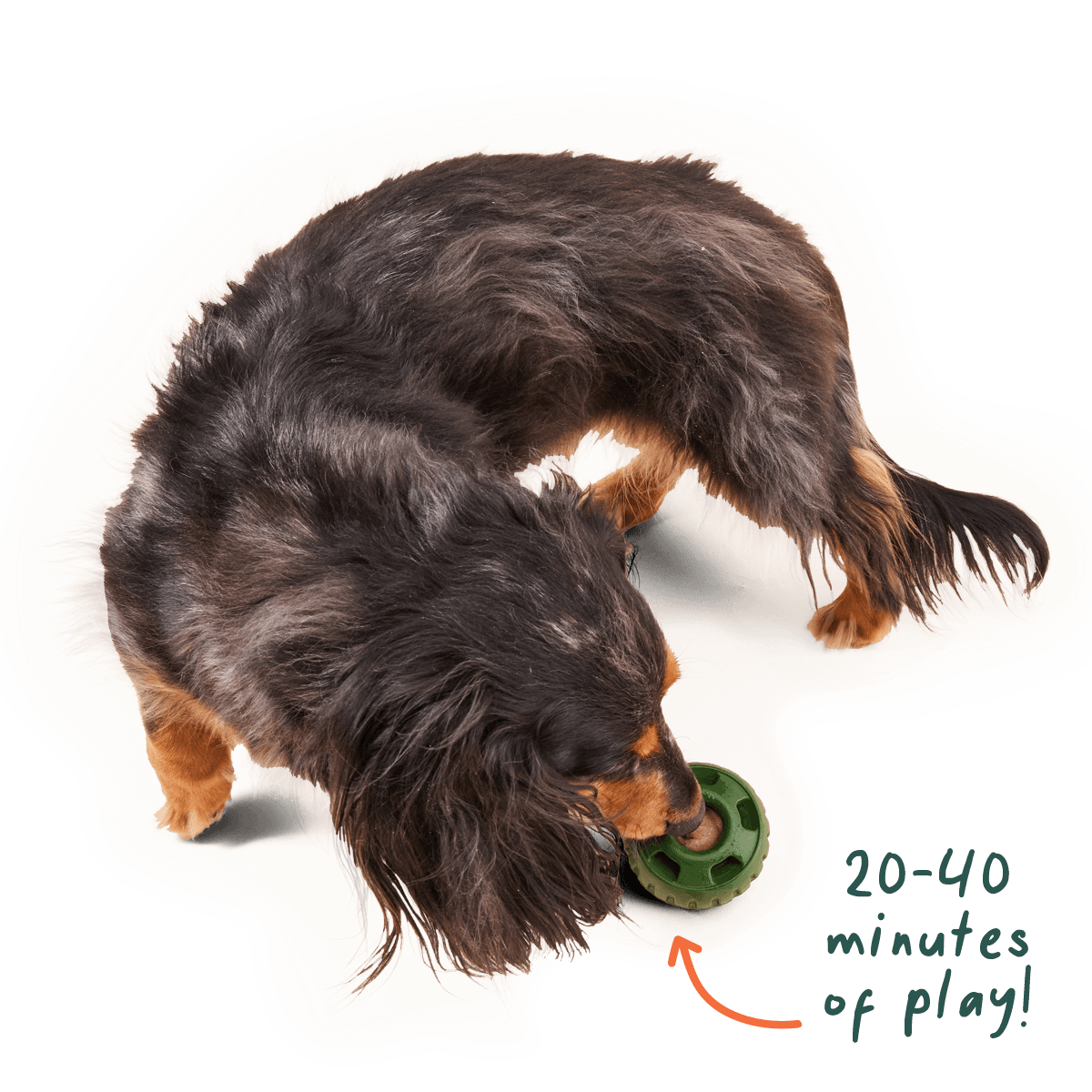 Woof Vitamin Pupsicle Pops