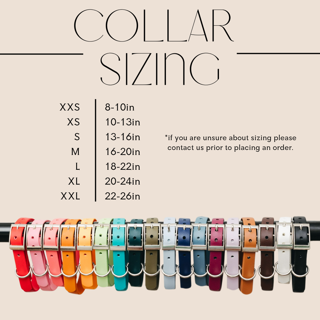 1" Quick Release Buckle Collar