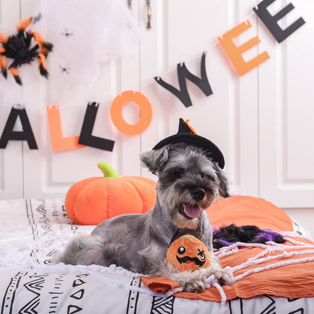 HugSmart Pet - Howloween Night | Pumpkin - Dog Ball Toy