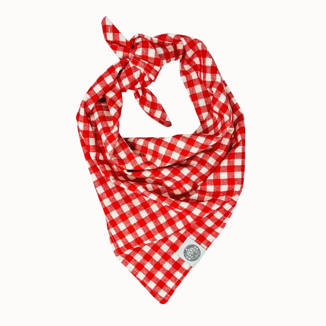 Red Gingham Bandana