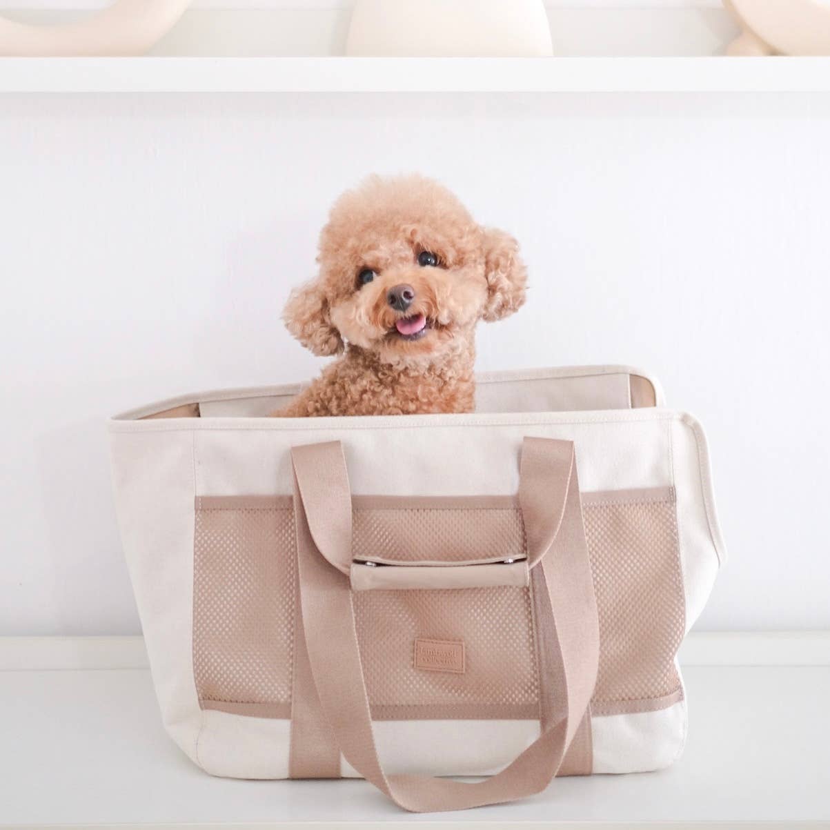 SUBWAY//PET CARRIER