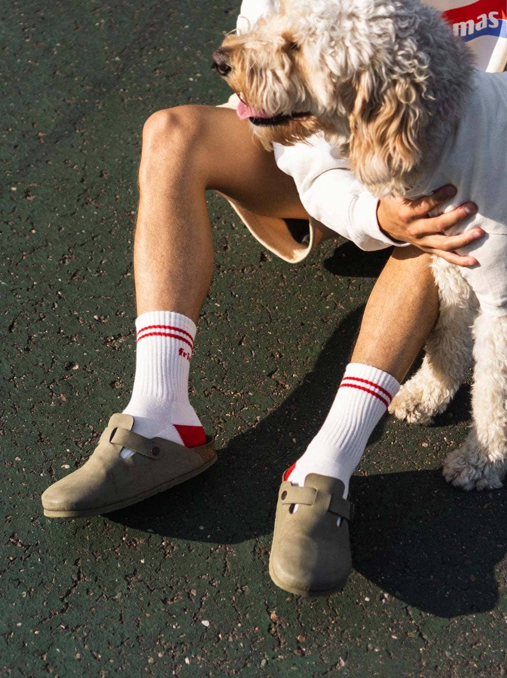 Dog Friendly Red Socks