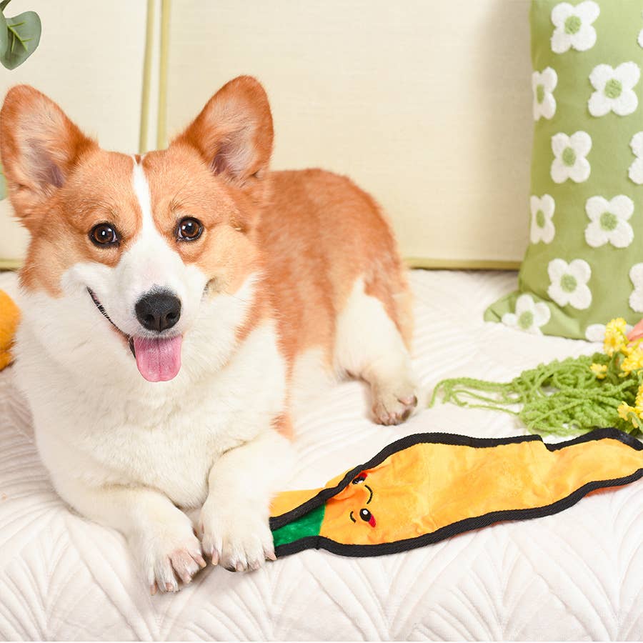 Carrot Toy