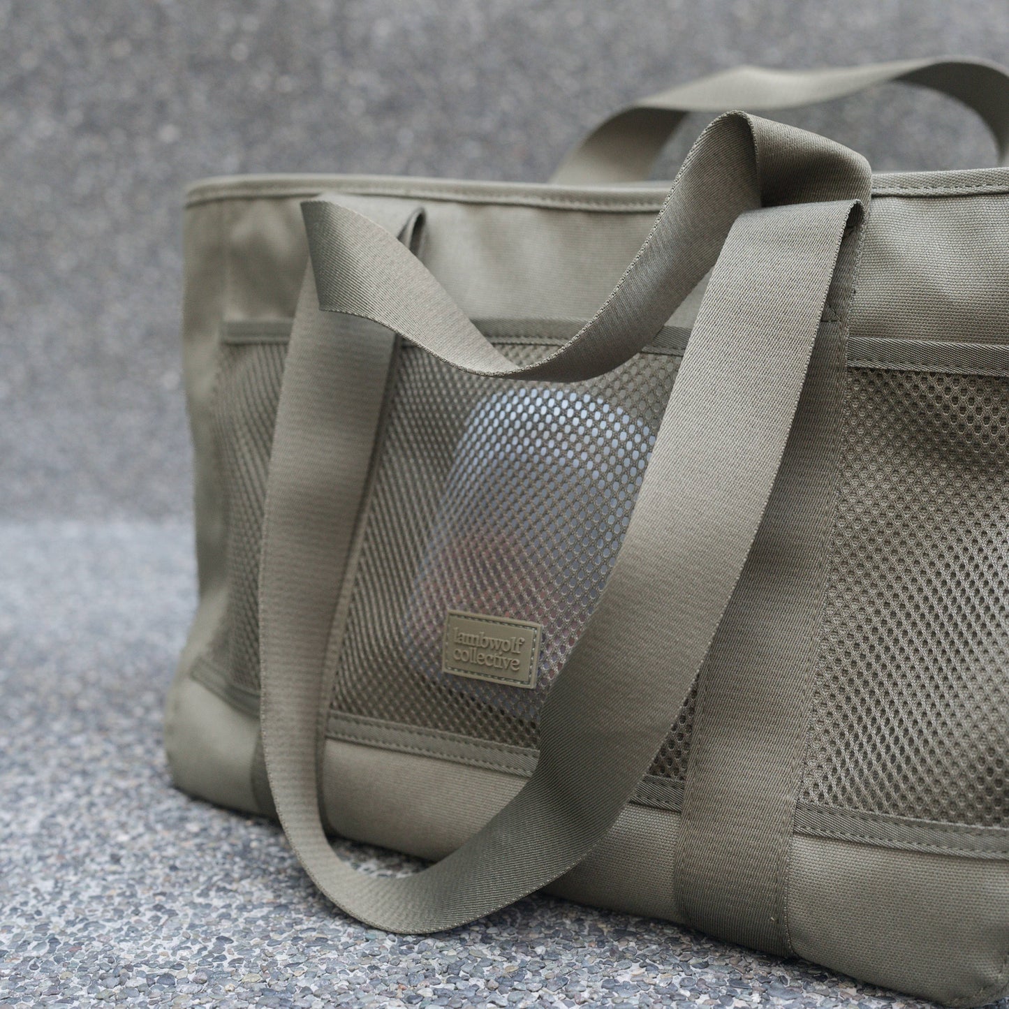 SUBWAY//PET CARRIER