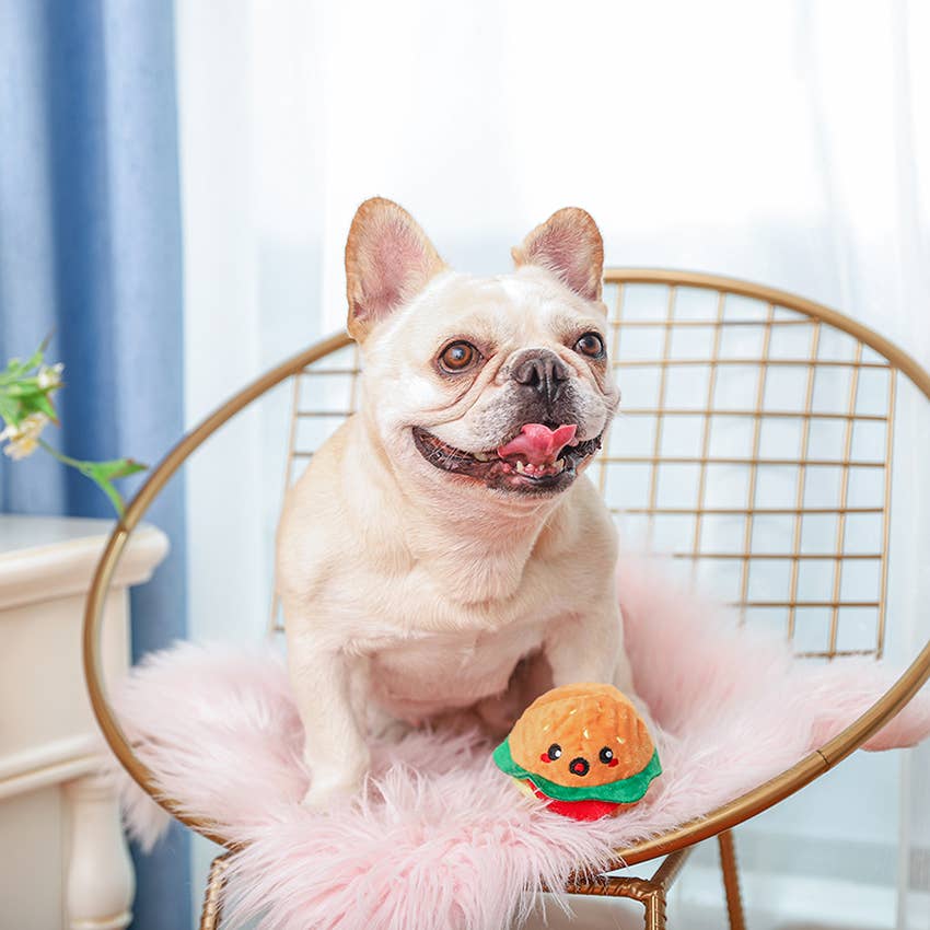 Hamburger Ball Toy