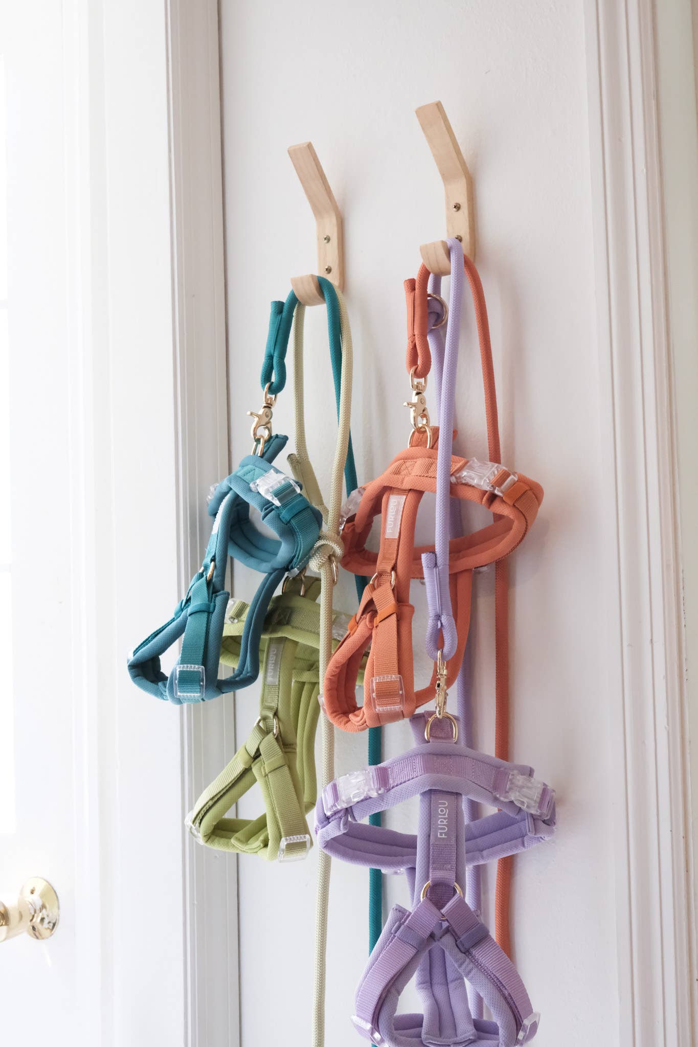 Lime - Comfort Dog Harness