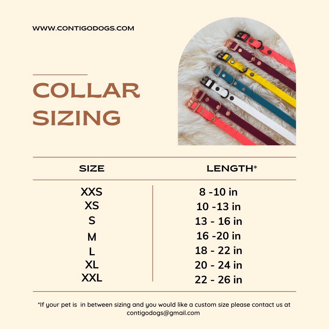 1" Quick Release Buckle Collar