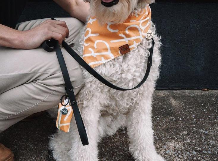 Leash - Contigo Dogs