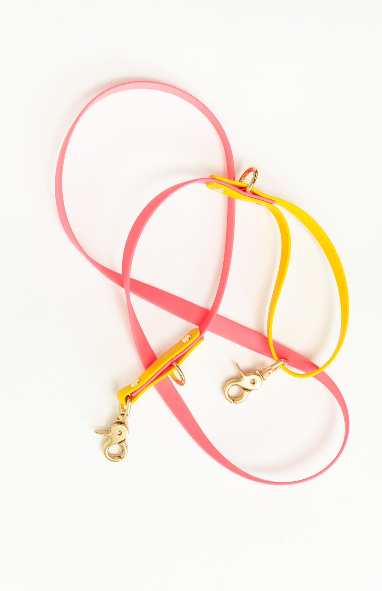 Two Tone Training Leash