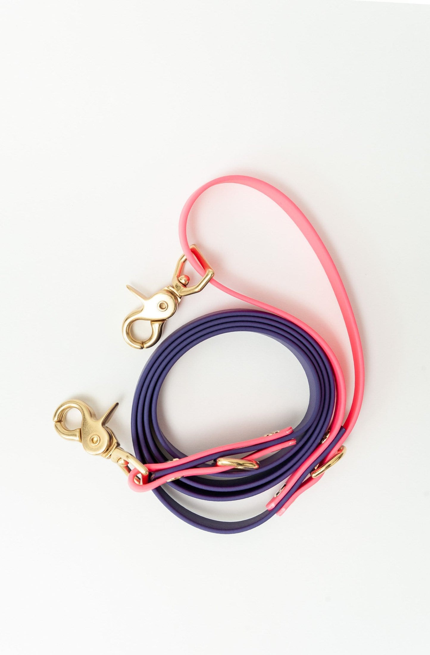 Two Tone Training Leash