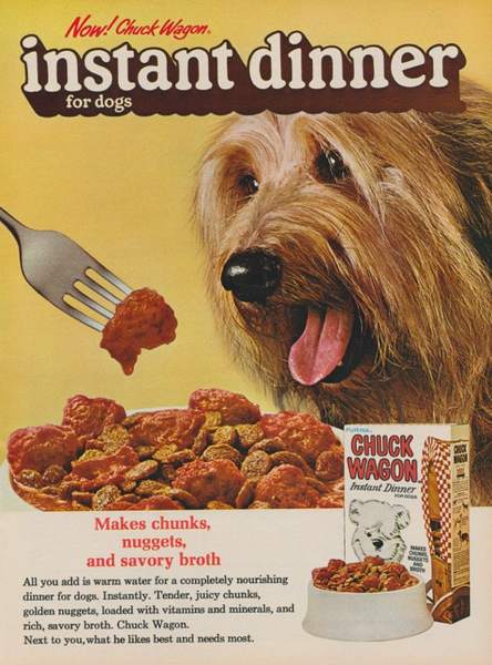 The Evolution of Dog Food: From Scraps to Specialized Diets