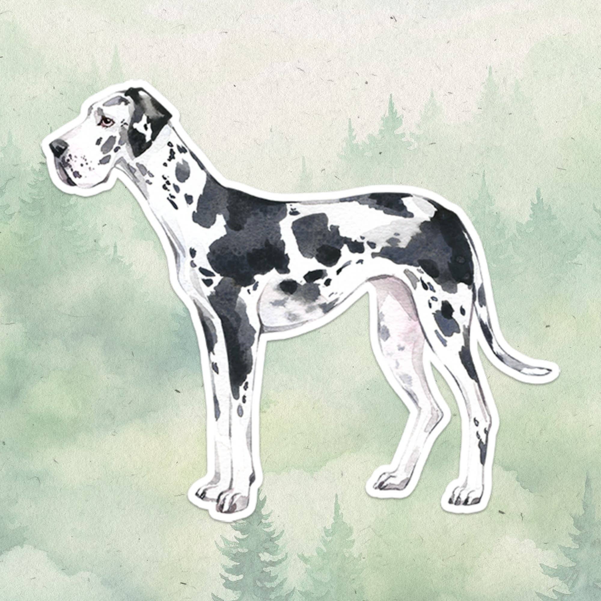 Great Dane sticker – Contigo Dogs