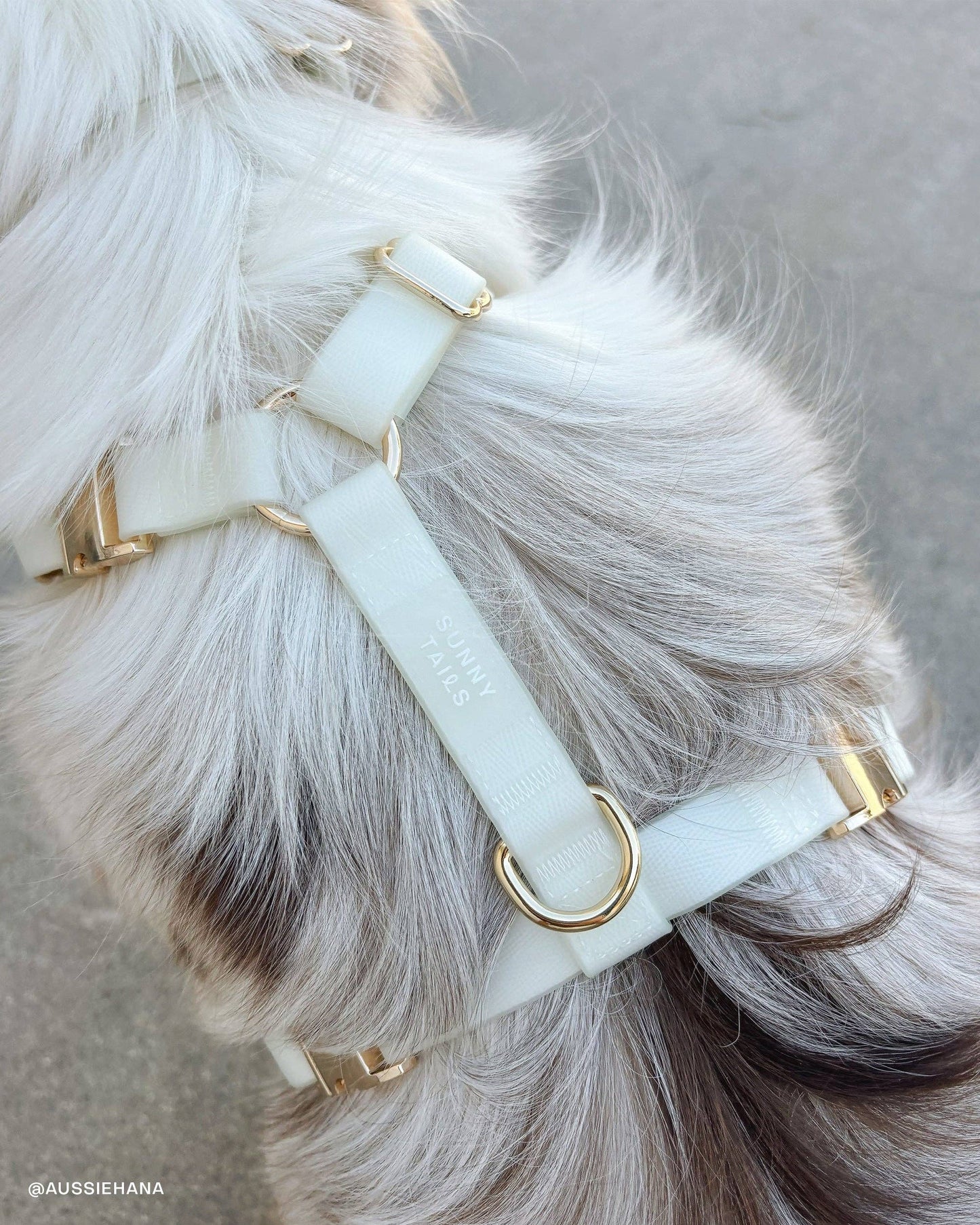 Lunar Glow Cloud Lite Dog Harness
