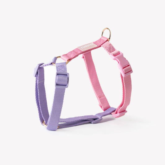 Lavender + Pink - Strap Dog Harness