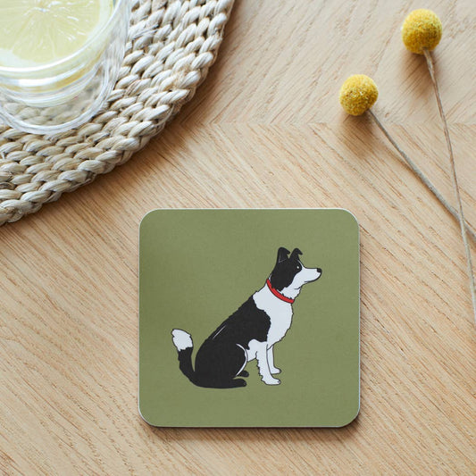 Border Collie Coaster