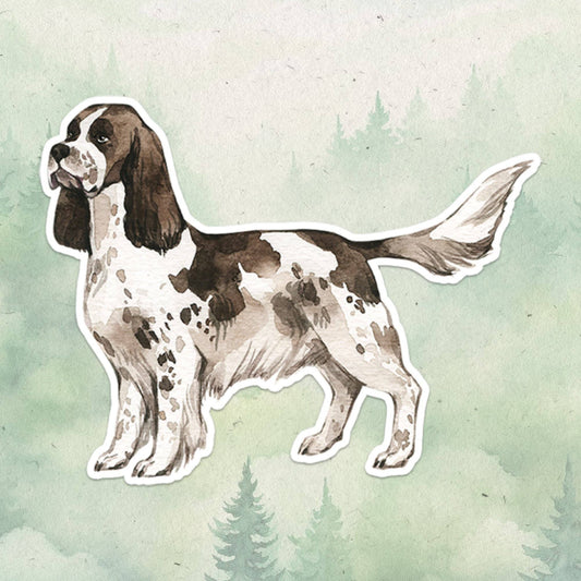 Springer Spaniel dog sticker