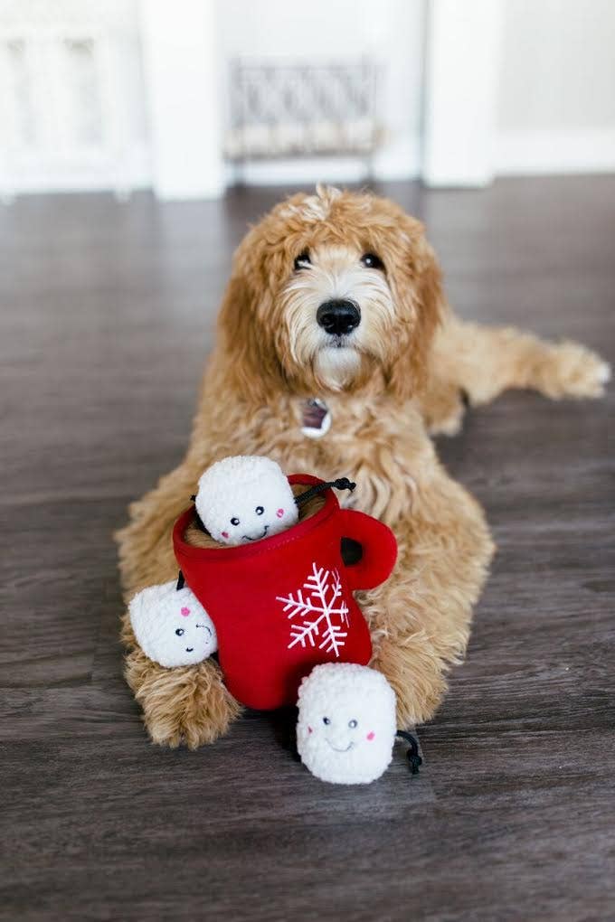 Burrow Hot Cocoa Dog Toy