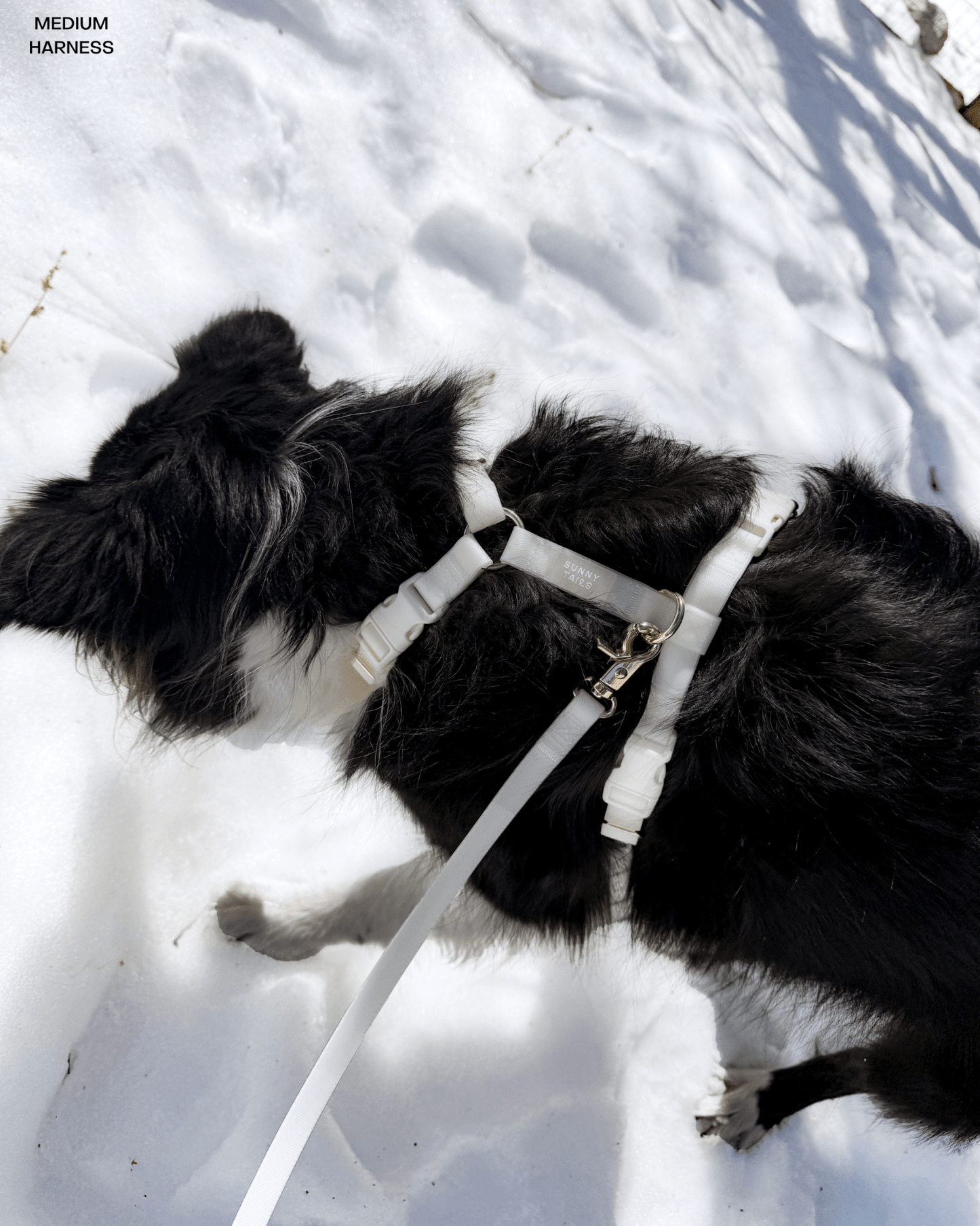 Lunar Glow 4-in-1 Convertible Hands Free Cloud Dog Leash