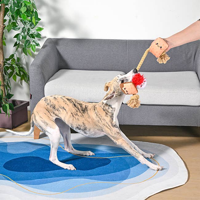 S’mores Rope Toy