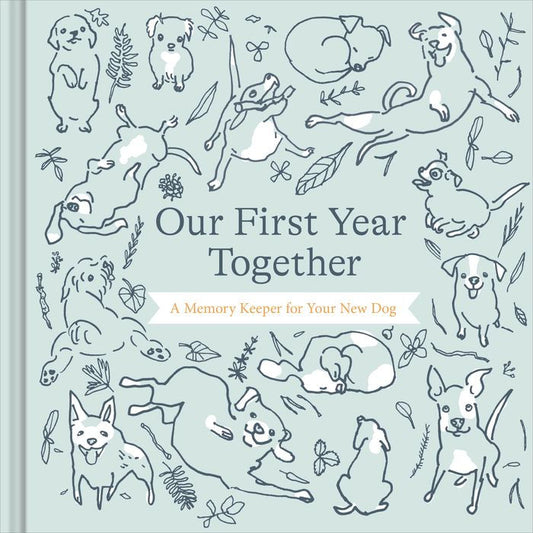 Our First Year Together
